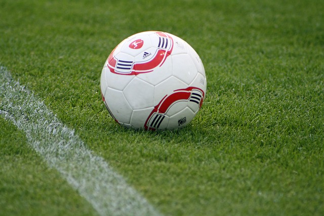 豪强林立 豪强林立