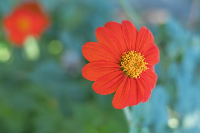 结合杜兰特 结合杜兰特