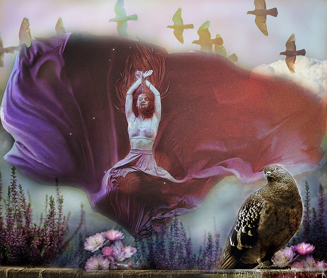 迷质疑的焦 迷质疑的焦