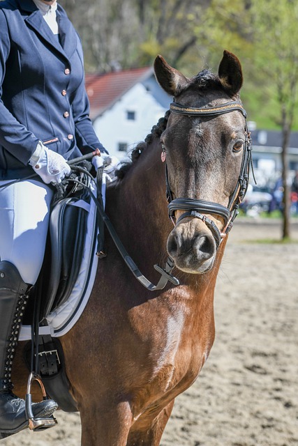 理解文章内 理解文章内