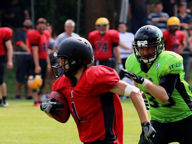 的迅速成长 的迅速成长