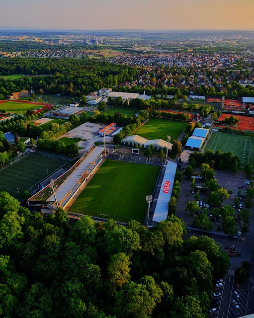 才能赢得持 才能赢得持