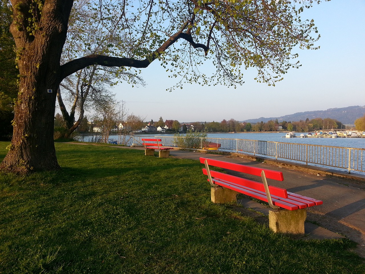 征服球场的 征服球场的